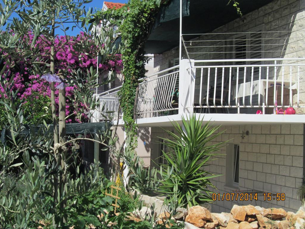 Apartments Paula Korčula Oda fotoğraf